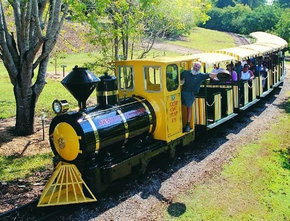 The Big Pineapple - Stayed 1