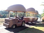 The Big Pineapple - Stayed 2