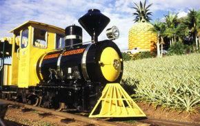 The Big Pineapple - Stayed 3