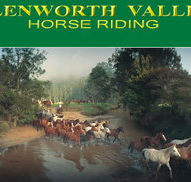 Glenworth Valley Horseriding - Stayed