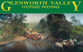 Glenworth Valley Horseriding - Stayed 0