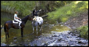 Glenworth Valley Horseriding - Stayed 1