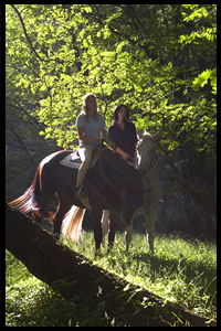 Glenworth Valley Horseriding - Stayed 2