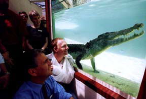 Alice Springs Reptile Centre - Stayed 1