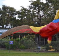 Gumbuya Park - Stayed