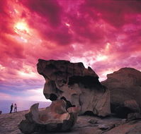 Kangaroo Island Adventure Tour 2 day/1 night - Stayed