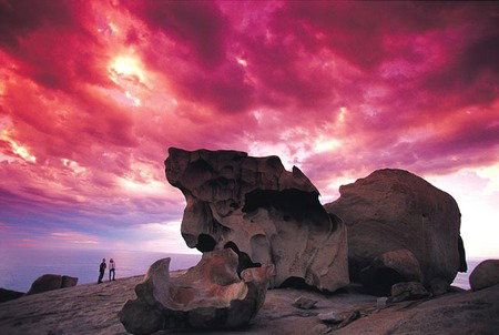 Kangaroo Island Adventure Tour 2 Day/1 Night - Stayed 0