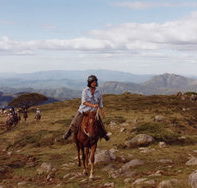 High Country Horses - Stayed