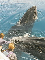 Storeyline Tours - Stays Accommodation 1