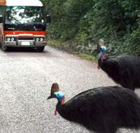 Kookaburra Tours - Stayed