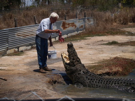 Koorana Saltwater Crocodile Farm - Stayed 1