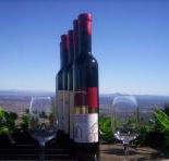 Mount Tamborine Winery  Homestead - Stayed