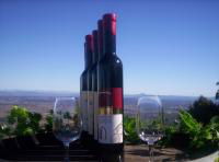 Mount Tamborine Winery & Homestead - Stays Accommodation 0