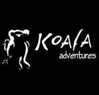 Koala Adventures - Stayed