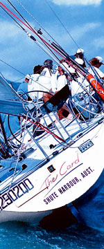 Koala Adventures - Stayed 1