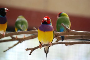 Kyabram Fauna Park - Stayed 1