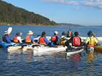 Sydney Harbour Kayaks - Stayed 2