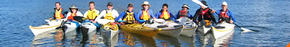 Sydney Harbour Kayaks - Stayed 3