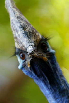 Symbio Wildlife Gardens - Stayed 2