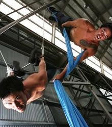Sydney Trapeze School - Stays Accommodation 2