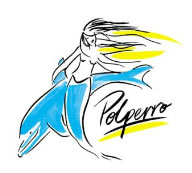 Polperro Dolphin Swims - Stayed 0