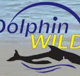 Dolphin Wild - Stayed