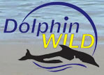 Dolphin Wild - Stayed 0