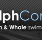 Dolphcom - Dolphin  Whale Swimming Adventures - Stayed