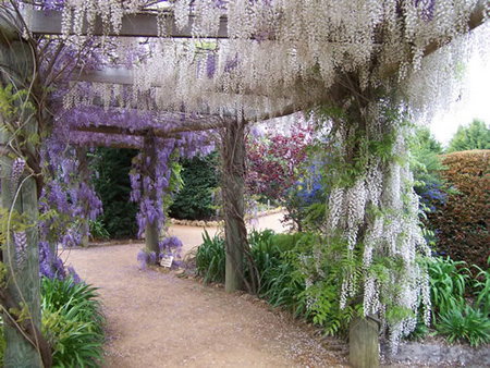 Abingdon Miniature Village - Stayed 0