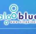 Ningaloo Blue Dive - Stayed