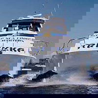 Sunshine Coast Fishing Charters - Stays Accommodation 0