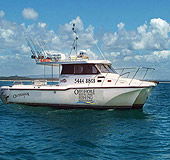 Sunshine Coast Fishing Charters - Stays Accommodation 1