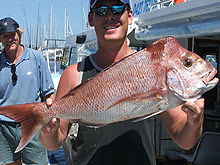 Sunshine Coast Fishing Charters - Stays Accommodation 2