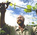 Barossa Experience Tours - Stayed