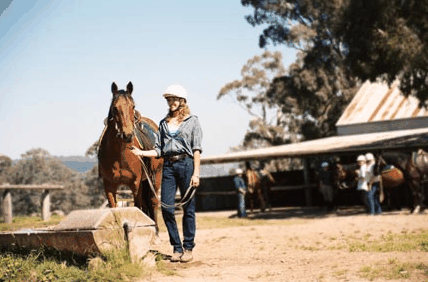Watsons Trail Rides - Stayed