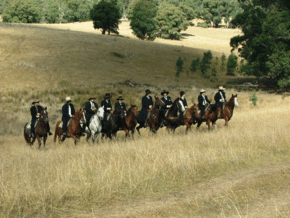 McCormacks Mountain Valley Trail Rides - Stayed