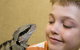 Geckoes Wildlife Presentations - thumb 2