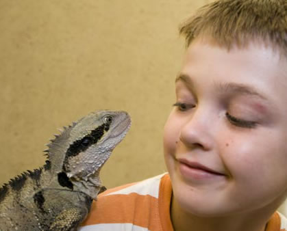 Geckoes Wildlife Presentations - Stayed 2