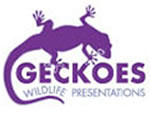 Geckoes Wildlife Presentations - Stayed 3