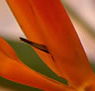 Zen Day Spa - Stays Accommodation
