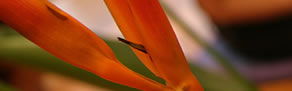 Zen Day Spa - Stays Accommodation 0