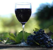 Lion Mill Vineyards - Stayed