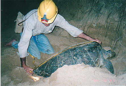 Footprints Adventures - Stayed 2