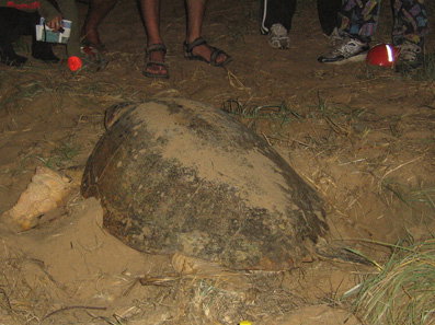 Footprints Adventures - Stayed 3