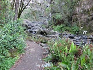 Stevensons Falls - Stayed 1