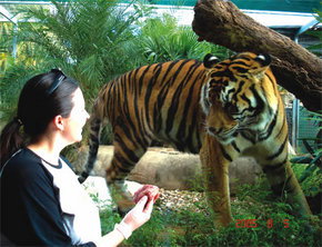 Crocodylus Park - Stayed 1