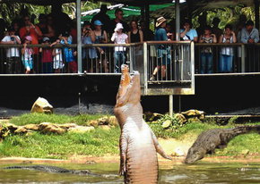 Crocodylus Park - Stayed 2