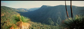Lamington National Park And OReillys - Stays Accommodation 1