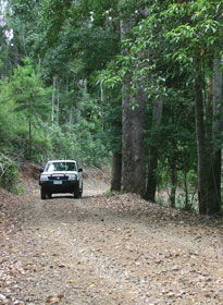Lamington National Park And OReillys - Stays Accommodation 2