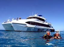 Silver Swift - Stayed 0